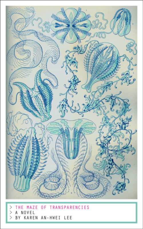 The Maze of Transparencies, by Karen An-Hwei Lee